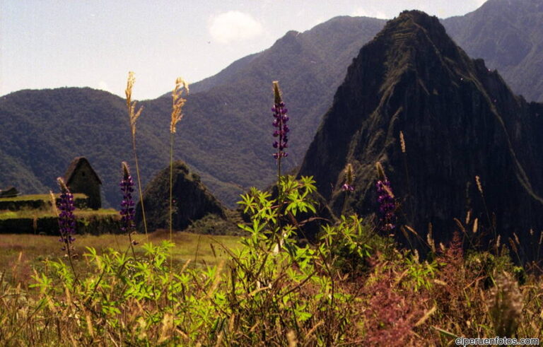 huayna picchu cusco003